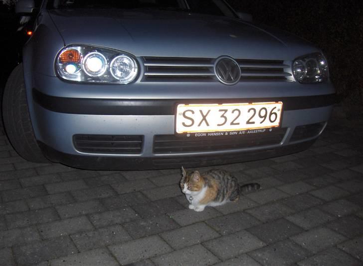 VW Golf IV Solgt billede 12