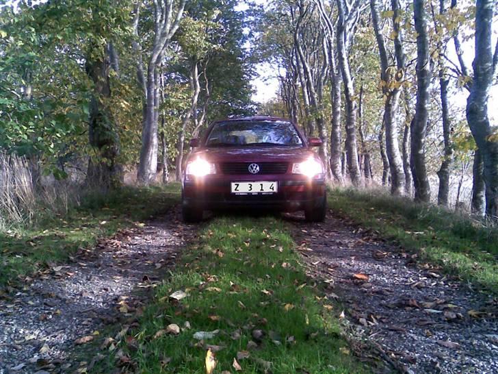 VW Passat 3B 1.6 Limousine billede 7