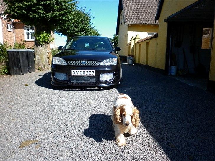 Ford Mondeo 2.5 v6 - Skal så senere monteres de originale tågelygter.. Men større projekt !.. Der er overhovet ingen beslag eller lign. i det her skørt.. Så laves nogle nye. billede 2