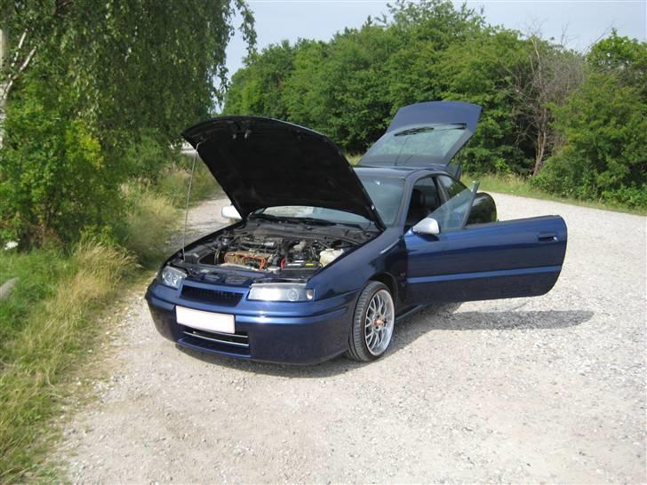 Opel calibra - Åbent hus billedet :)  billede 1