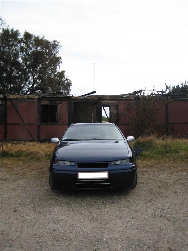 Opel calibra billede 6