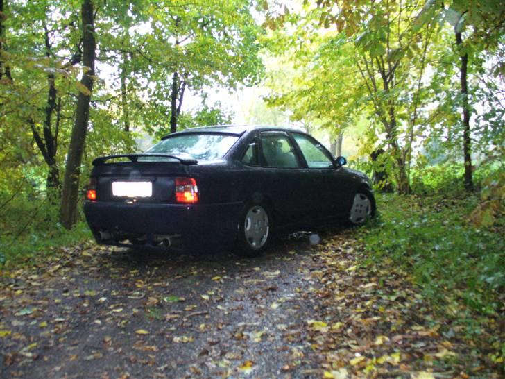 Opel Vectra A billede 2