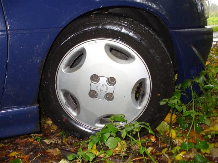 Opel Vectra A billede 10