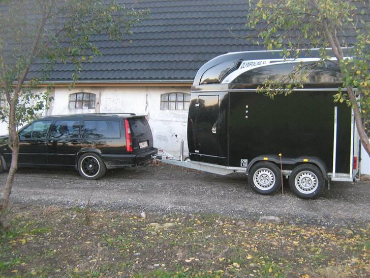 Volvo V70 7.pers SOLGT - så kom hestetraileren også hjem ja bil og trailer skal jo passe sammen billede 6