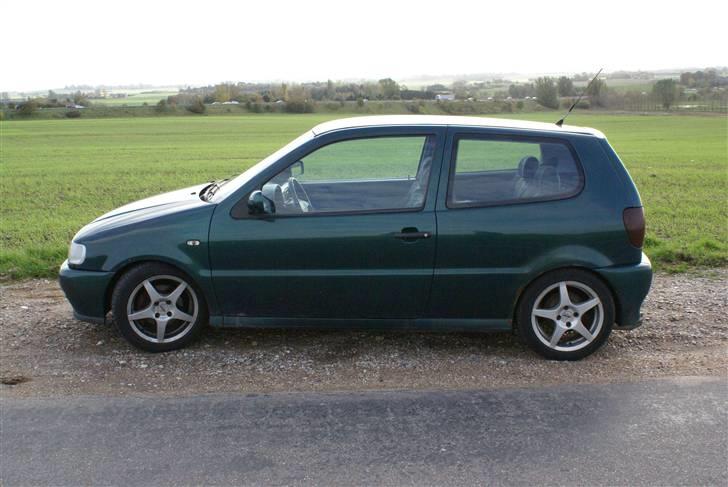 VW Polo 6n 16v  billede 3