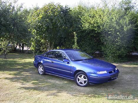 Opel Calibra 2,5i V6 billede 1