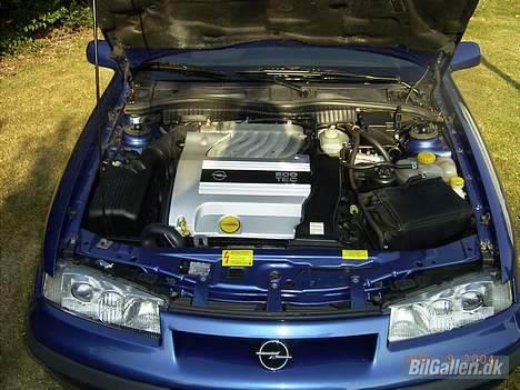 Opel Calibra 2,5i V6 billede 2