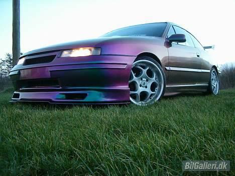 Opel Calibra billede 1