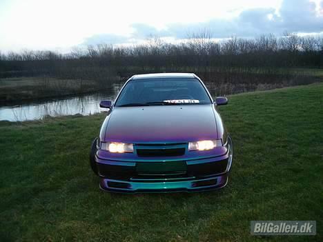Opel Calibra billede 2
