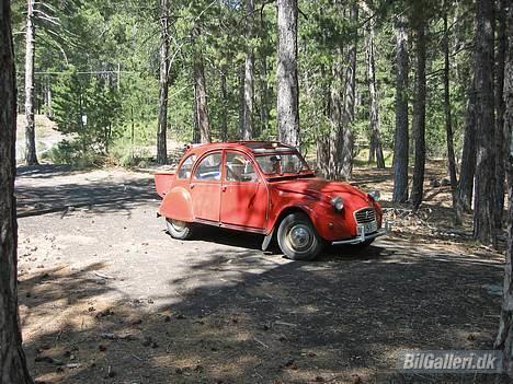 Citroën 2CV - Etna - juli 2002 billede 5