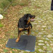 VW Golf 3 VR6 *Solgt*