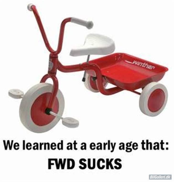 Ford Sierra -  død billede 11