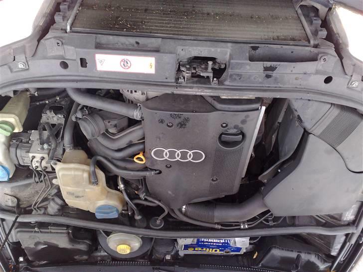 Audi A4 1,6 "konebilen" - en bette 1,6 motor billede 7