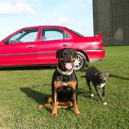 Ford Mondeo 1.8 i 16V