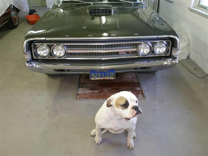 Ford torino fastback billede 4