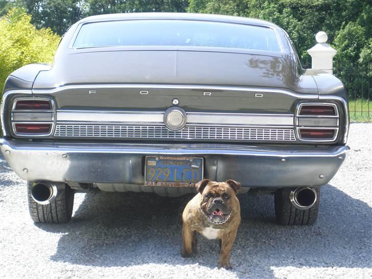 Ford torino fastback billede 5