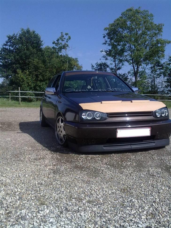 VW  "Clean, vrsexy SHIT" DØD billede 1