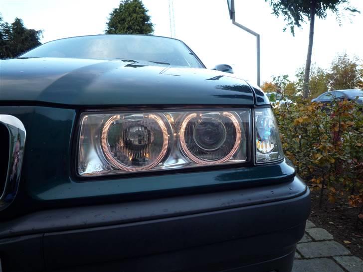 BMW 318i SOLGT billede 14