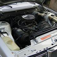 Volvo 262 C Bertone V8   Er synet på DK plader i 2024 ;)