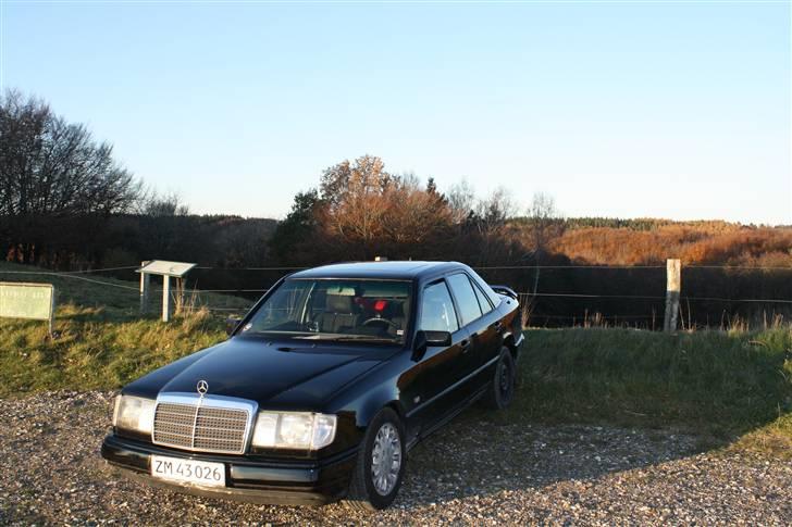 Mercedes Benz 124W 300D billede 6