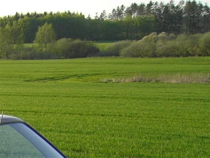 BMW E30 320i billede 16