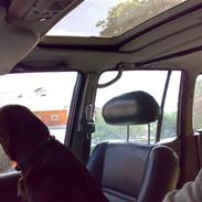 Toyota Land Cruiser HDJ80 vx