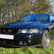 Ford Mustang SVT Cobra