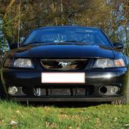 Ford Mustang SVT Cobra