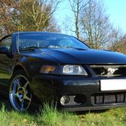 Ford Mustang SVT Cobra