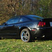 Ford Mustang SVT Cobra