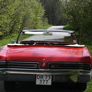 Buick Wildcat con.