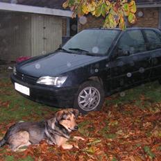 Peugeot 306 XL SOLGT