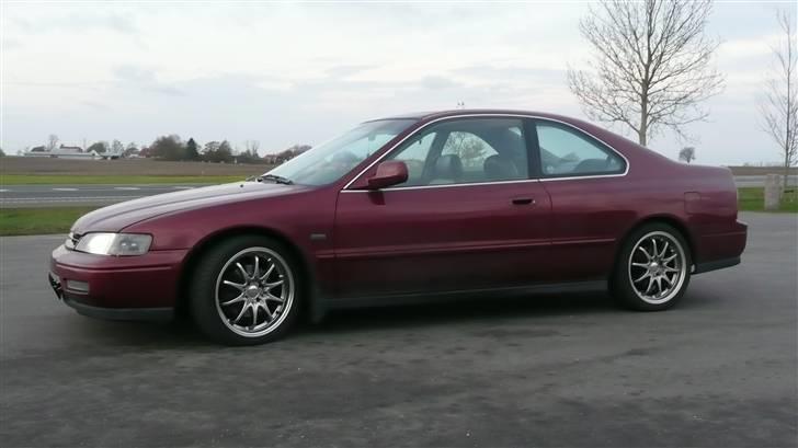 Honda Accord Coupe billede 6