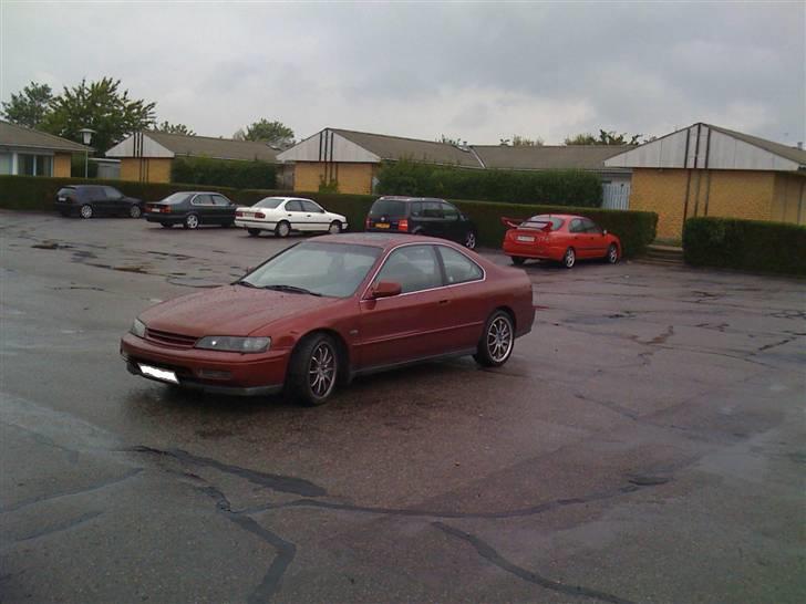 Honda Accord Coupe billede 9