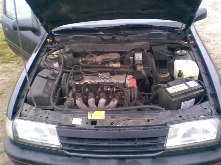 Opel Vectra GT  billede 14