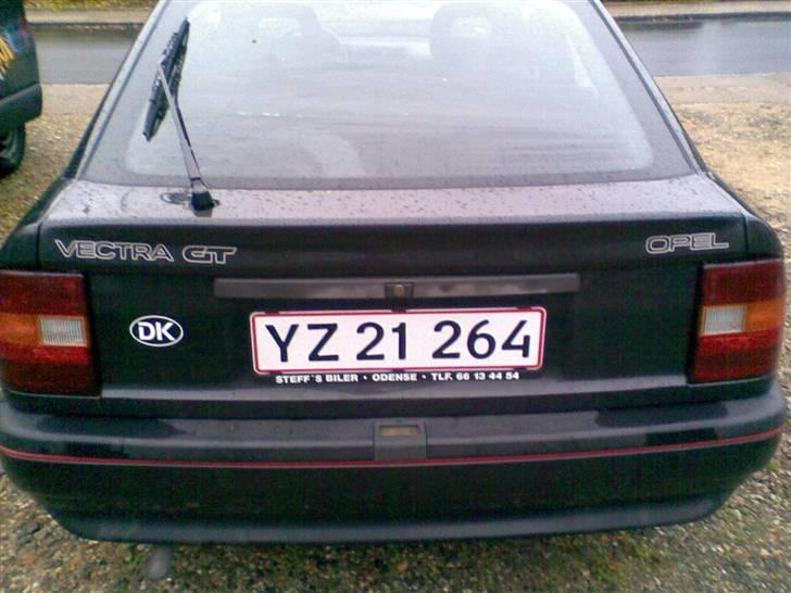 Opel Vectra GT  - Da jeg fik den billede 15