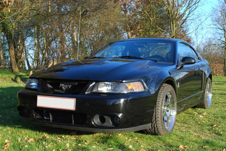 Ford Mustang SVT Cobra billede 1