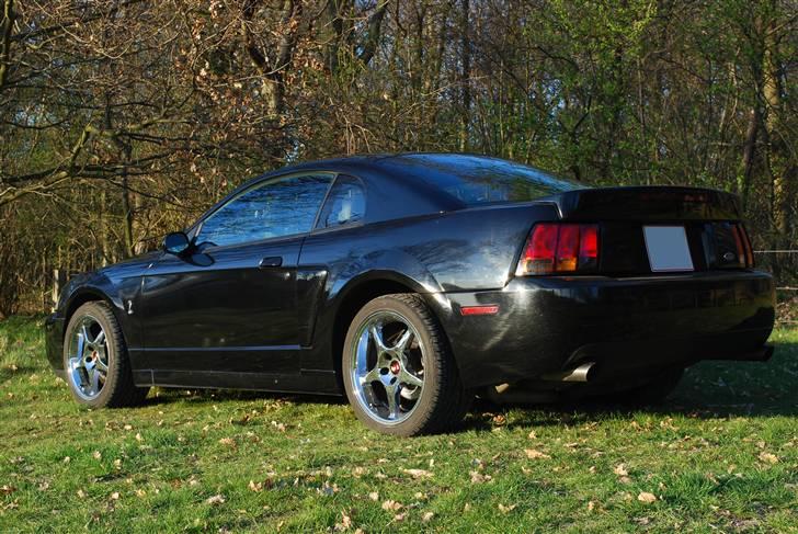 Ford Mustang SVT Cobra billede 5