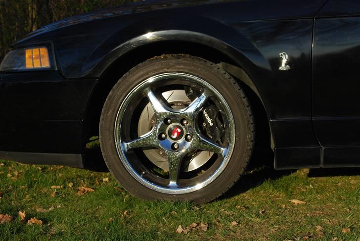 Ford Mustang SVT Cobra - 14" flydende Brembo skiver, med 6 stemplet radical moneret fast ophænkte Brembo kalibre. De stopper 1,8ton med +300km/t fint :) billede 7