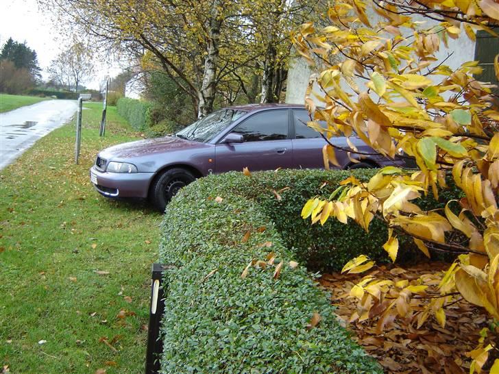 Audi A4 1,6 Solgt billede 6