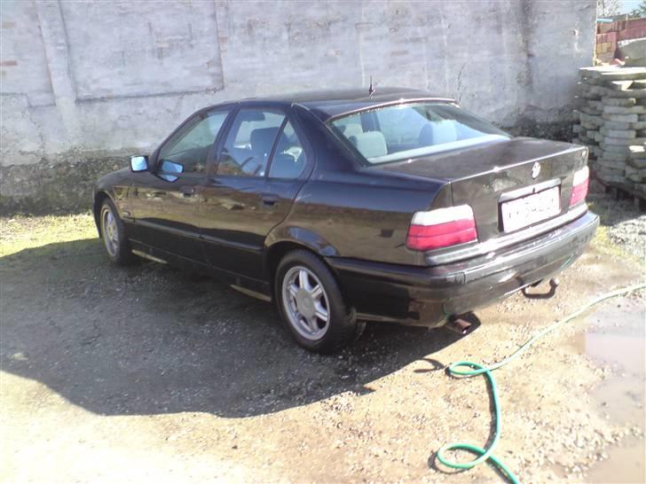 BMW 320i E36  billede 2