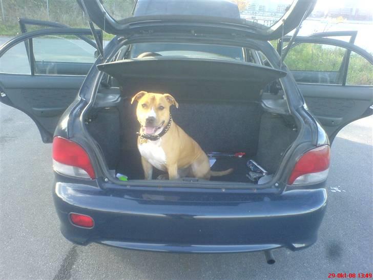 Hyundai Accent SOLGT billede 9