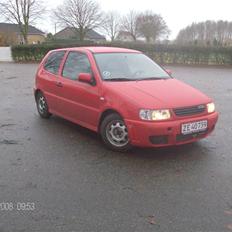 VW Polo SOLGT