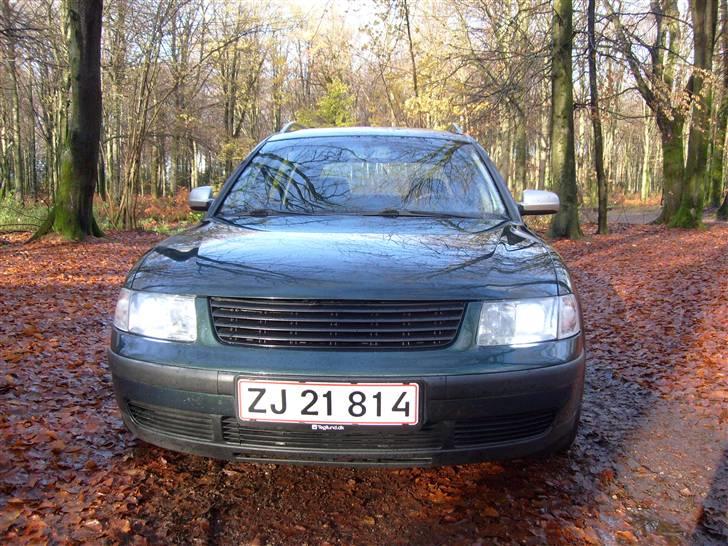 VW Passat billede 2