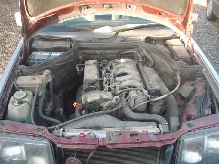 Mercedes Benz 250D W124 "Wotan" SOLGT - Maskinrum før motorvask og service billede 5