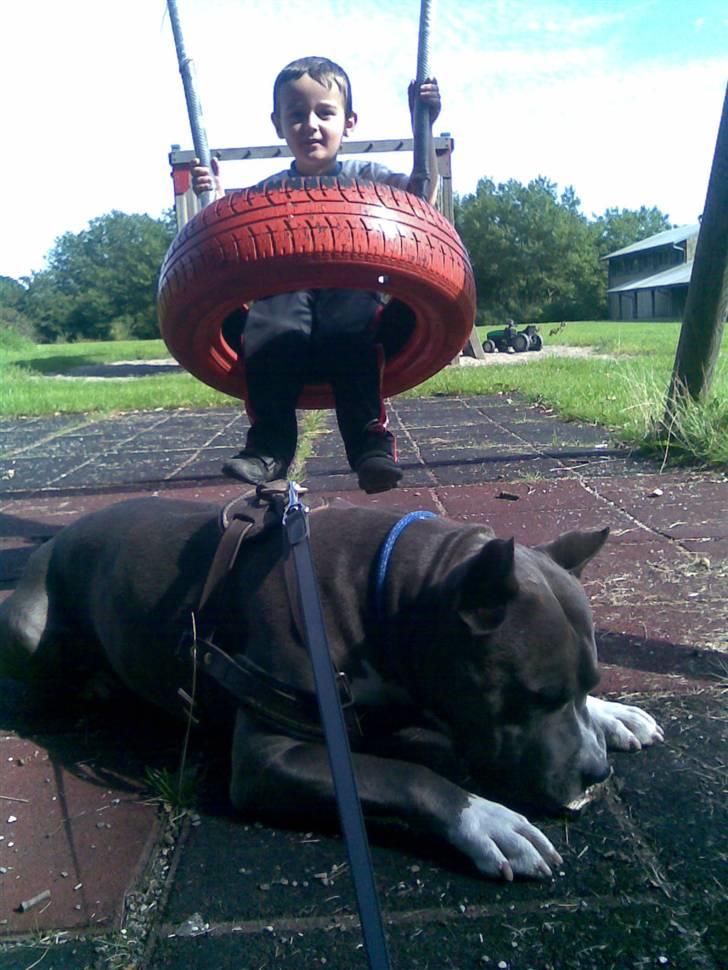 Opel astra GSI 16V SOLGT - Benjamin & Baloo... billede 16