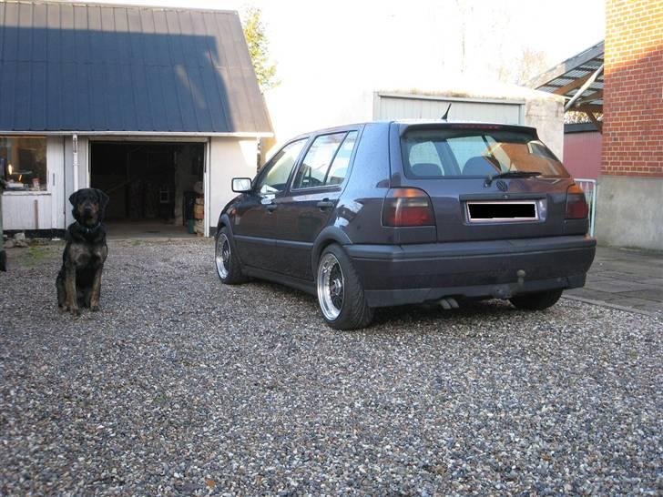 VW Golf TDI *Solgt billede 1