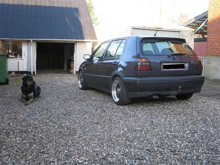 VW Golf TDI *Solgt billede 11