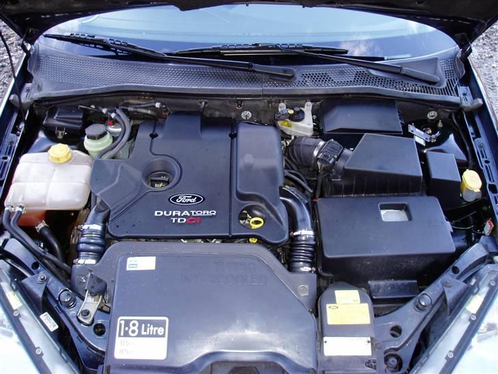 Ford Focus billede 10