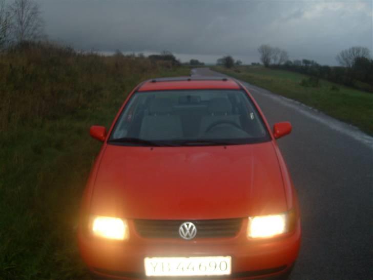 VW polort 1,6 byttet billede 3